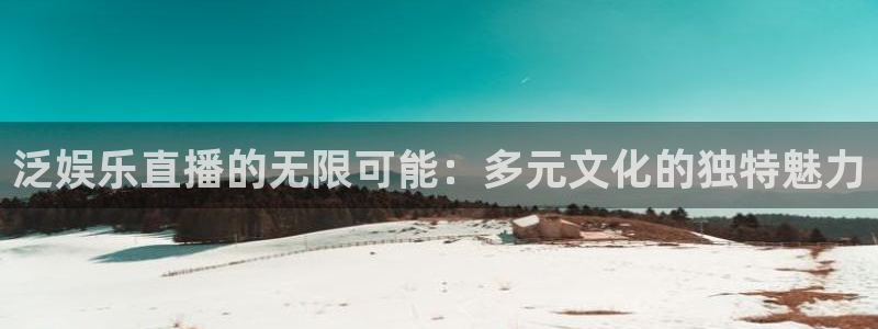 wg电子平台