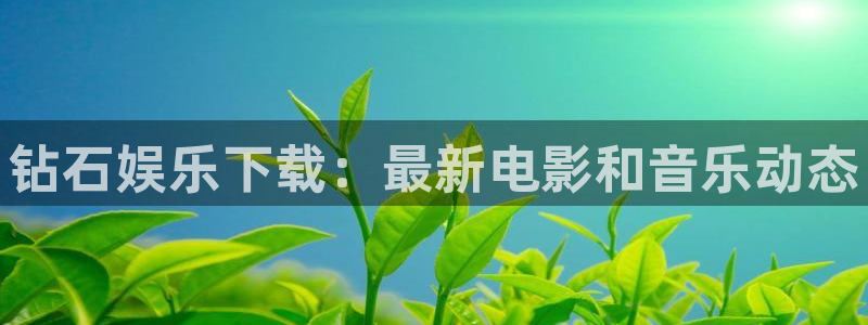 wg电子